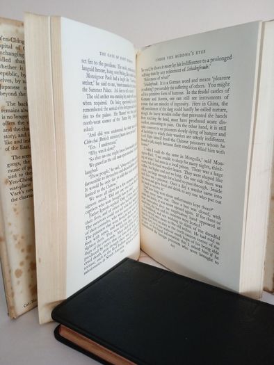 Novels of Yen-Ching: The Maker of Heavenly Trousers - The Gate of Happy Sparrows and The Temple of Costly Experience by Daniele Vare (RB209)