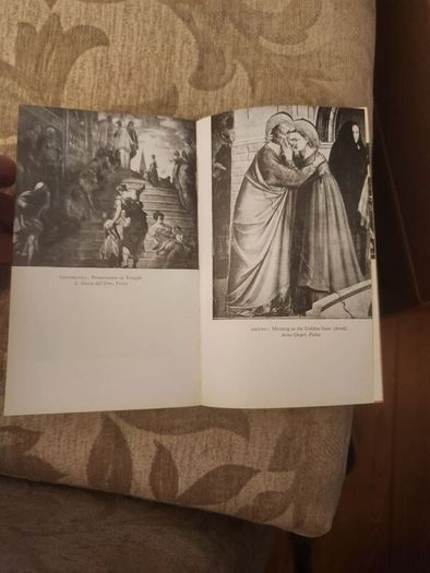 The Italian Painters Of The Renaissance.  Bernhard Berenson. The Fontana Library First Edition Paperback In Good Condition. See Photos For Same.