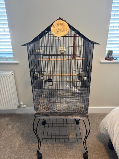 Bird cage