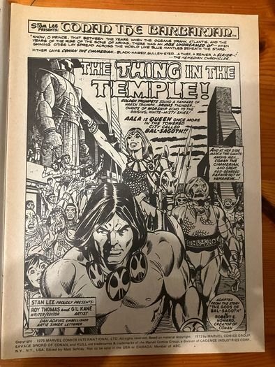 Comic: 'Savage Sword of Conan' no. 18 (July 5,1975)