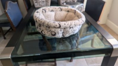 Cat Bed Cuddle cup
