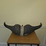African Water Buffalo Horns Image 10