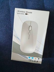 mice