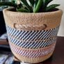 Healthy Sansevieria Cylindrica (African Spear) in  Ethnic  Pot Image 5