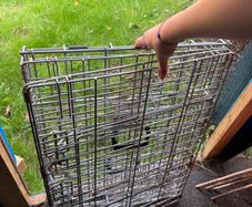 Savic dog crate