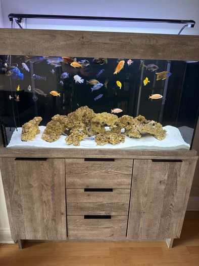fish tank 300L malawi fish full set