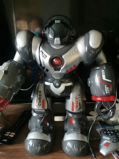 toy robot