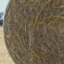round bale hay Image 2
