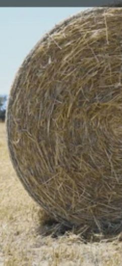 round bale hay