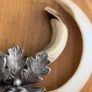 Vintage Wild Boar Tusk Trophy on Wooden Plaque Germany 1950s Image 3