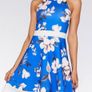 Quiz Dresses Image 6
