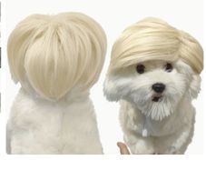 Halloween Costume