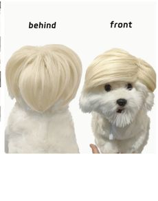 Halloween Costume