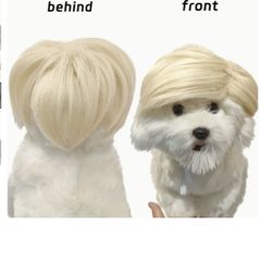 Halloween Costume