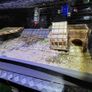 XXL  guinea pig & rabbit cage Image 2