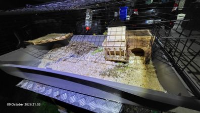 XXLarge  guinea pig & rabbit cage