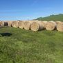 Baler Image 4