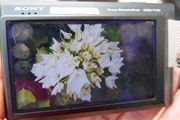 Sony Digital Camera Cybershot DSC-T70 8.1MP Black Tested