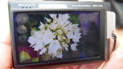 Sony Digital Camera Cybershot DSC-T70 8.1MP Black Tested