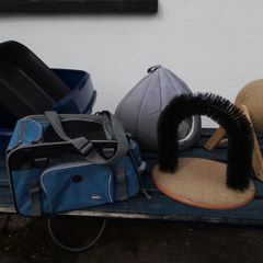 cat accessories bundle