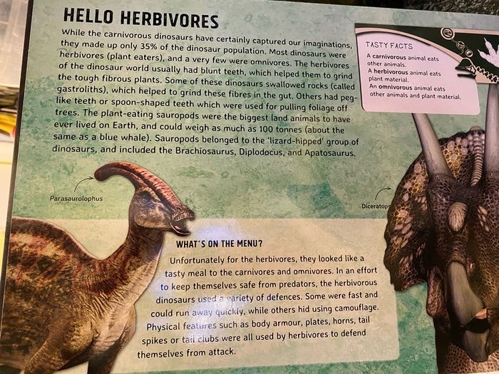Dinosaurs - Jigsaw book