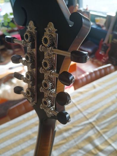Coostar F5 Mandolin
