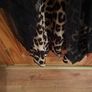 jumperdress Image 2