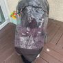 double buggy Image 2