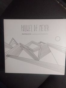 Pauwel De Meyer CD - Having Fun