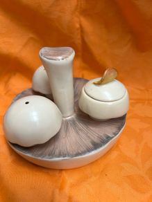 MId Century Modern Carlton Ware Mushroom Cruet Set