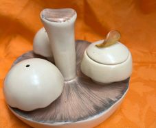 MId Century Modern Carlton Ware Mushroom Cruet Set