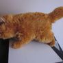 Harry Potter Crookshank Cat Plush soft toy Warner Bros Image 2
