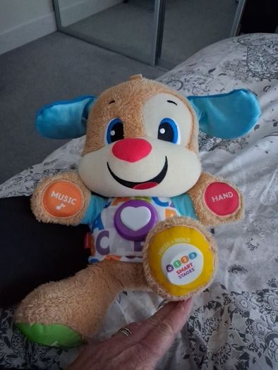 toy teddy