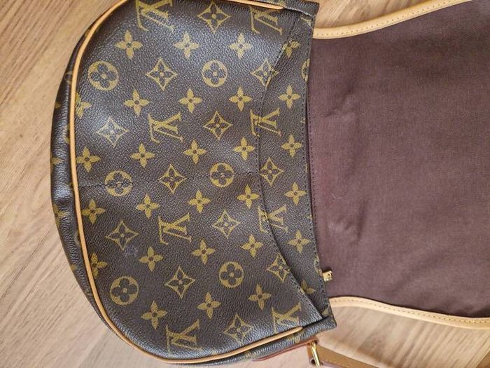 louis vuitton bag