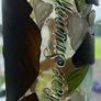Sea Glass Candle Holder or Coin Bottle Image 3