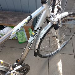 raleigh road bike
