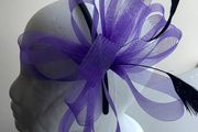 Selection Of Fascinators