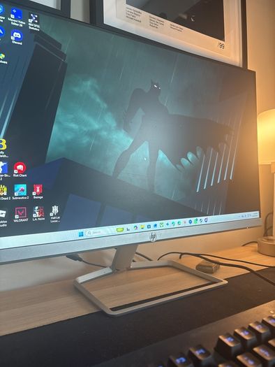 HP Monitor