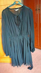 Bnwt Zara Chiffon Pleated Dress