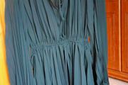 Bnwt Zara Chiffon Pleated Dress
