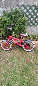 12" Kids Bike
