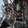 Ransome potato spinner Image 2