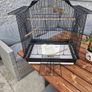 Bird cage Image 2