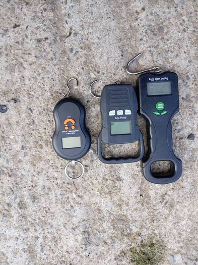 fishing scales