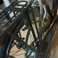 Ladies Dutch Bike