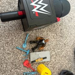 WWE Microphone