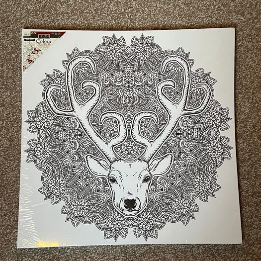 Crafts art canvas paint yourself BNWT gift