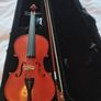 Viola Image 2