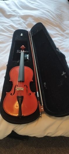 Viola