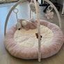 Baby Play Gym Image 2